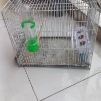 قفس غلامی سهره|لوازم جانبی حیوانات|لاهیجان, لیالستان|دیوار