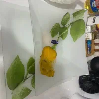 بلورشیشه ای