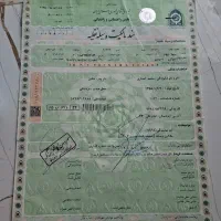 نیسان ۹۰دوگانه کارخونه کولردار