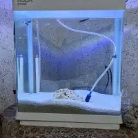 اکواریوم به همراه ماهی|ماهی|فولادشهر, مسکن مهر فولادشهر|دیوار