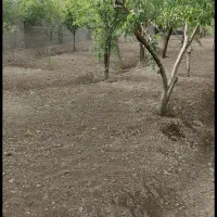 باغ700متری حصارمهتر چهاردیوار قدیمی برخیابان اصلی|فروش زمین و ملک کلنگی|رباط‌کریم, حصار مهتر|دیوار