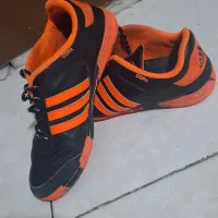 کفش سالنی در حد نو