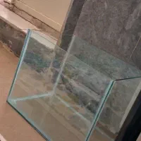 آکواریوم نو نو۶میل