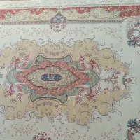 قالی 6متری 500شانه
