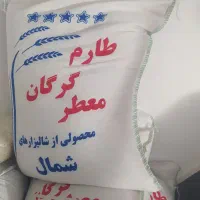 برنج گرگان طارم و فجر تک به قیمت عمده