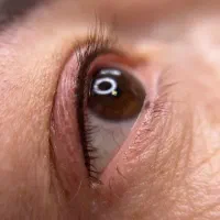 بلک فرایدی دائم|خدمات آرایشگری و زیبایی|سبزوار, کاشفی شمالی (دادگستری)|دیوار