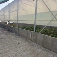 گلخانه فروش در حال کشت خیار|فروش دفتر صنعتی، کشاورزی، تجاری|خاوران, |دیوار