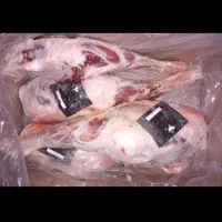 مرغ و گوشت آرکا به نرخ تعاونی|خوردنی و آشامیدنی|ساوه, |دیوار