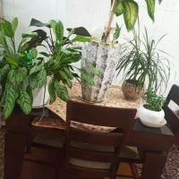 میز ناهار خوری 4 نفره