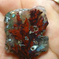 سنگ شجر|جواهرات|سرایان, |دیوار