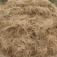 بنام خدا