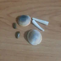 فال|خدمات پذیرایی، مراسم|امیدیه, |دیوار