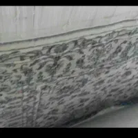 فرش نیمه بافت|فرش|نهاوند, |دیوار