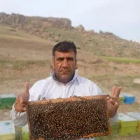 عس ل صدرصدطبیعی ودرمانی به شرط طعم و بو