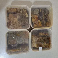 عسل اویشن درجه یک