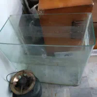 اکواریوم