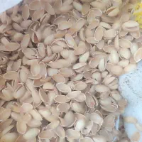 پوست پسته دست شکن درجه یک بدون کالک