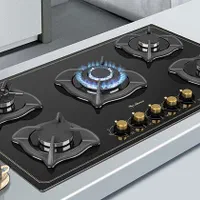 تعمیرات لوازم خانگی وگازسوز|خدمات پیشه و مهارت|صفادشت, |دیوار