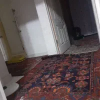 ۲عدد قالی دست بافت