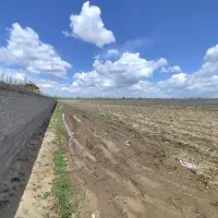 اجاره زمین زراعی