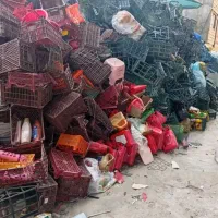 سبد به قیمت بالا