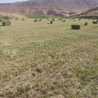 یونجه چین ۳