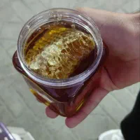 عسل  اصیل ییلاقات گیلان تضمین ۱۰۰٪ طبیعی