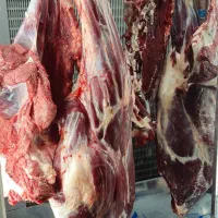 گوشت گوساله لخم تازه|خوردنی و آشامیدنی|کرج, شاهین‌ویلا|دیوار