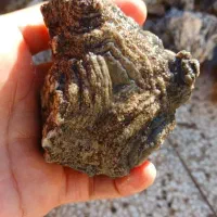 سنگ ناترولیت کلسدونی صادراتی.با خرما معاوضه|جواهرات|بوشهر, |دیوار