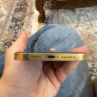 Iphone 13 pro max 512 gb givori|موبایل|مشهد, جنت|دیوار