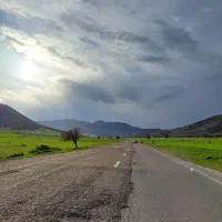 پارکت ترک کرم قهوه ای