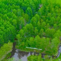 خرید ویلا با طراحی نوآورانه