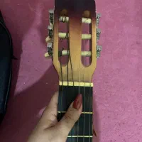 گیتار|گیتار، بیس، امپلیفایر|کرمانشاه, |دیوار