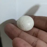 سنگ آسیاب|جواهرات|خمینیشهر, |دیوار