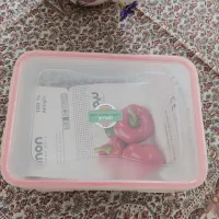 ظرف نگهدارنده غذا لیمون