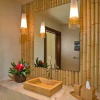 نی نیزار (بامبو)|گل و گیاه طبیعی|سرخرود, |دیوار