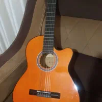 گیتار نو نو|گیتار، بیس، امپلیفایر|آبیک, |دیوار