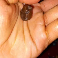 شهاب سنگ|کلکسیون اشیاء عتیقه|زابل, |دیوار