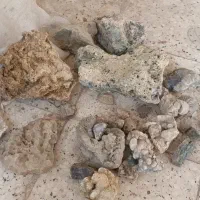 سنگ آکواریوم یک کیسه|ماهی|تربت‌حیدریه, بهزیستی|دیوار