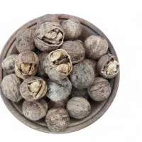 گردو سفید پوست کاغذی ایرانی بوانات خشکبار قدوس|خوردنی و آشامیدنی|بوانات, |دیوار