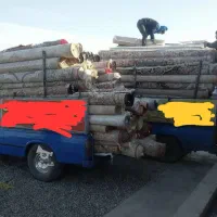 (قالیشویی بزرگ نعمت)      (فقط پاکدشت)|خدمات نظافت|پاکدشت, پاکدشت (مامازند)|دیوار