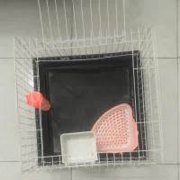 قفسه خرگوش و همستر|موش و خرگوش|تهران, ازگل|دیوار