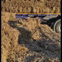 پرس علف بادام