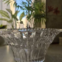 میوه خوری سوگا ژاپن