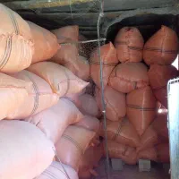 کاه تمیز امسال، شلیف گرفته شده ،کیلویی۱۸۰۰۰ تومان|حیوانات مزرعه|چرام, |دیوار