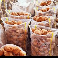 سیب متوسط سیب زمینی درهم|عمده‌فروشی|بهار, |دیوار