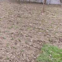 فروش-یک-قطعه-زمین-250متری-و-دو-بر-با-سند-مالکیت