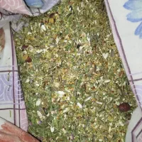 طوطی گرینچیک|پرنده|مرودشت, ثبت احوال|دیوار