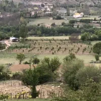 زمین