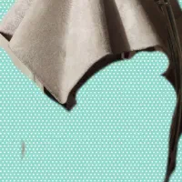 اباژورخمیده1900000